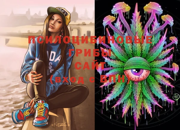 прущие грибы Лихославль