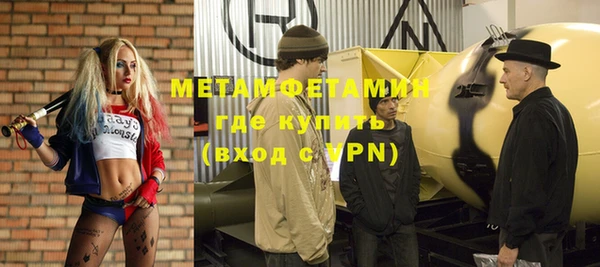 прущие грибы Лиски